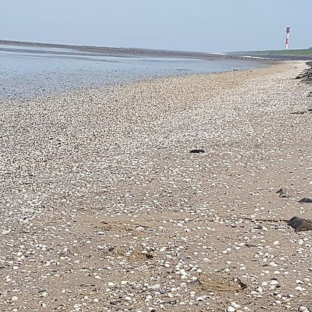 Haus Am Meer Eckwarden Butjadingen Εξωτερικό φωτογραφία
