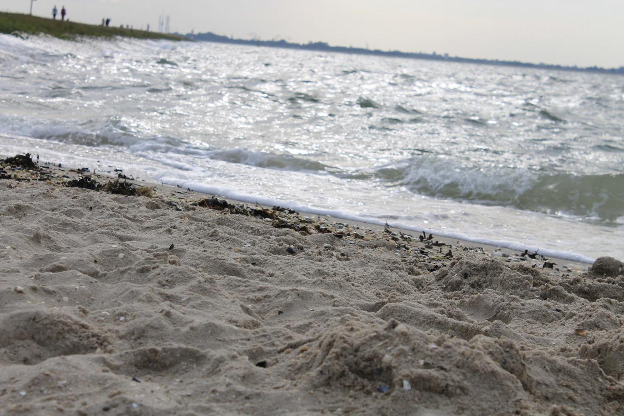 Haus Am Meer Eckwarden Butjadingen Εξωτερικό φωτογραφία